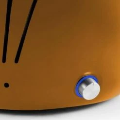 Coupon ???? Fire Beam Kansas Tafelbarbecue Lotus, Groen ✔️ 30 Coupon ???? Fire Beam Kansas Tafelbarbecue Lotus, Groen ✔️ -Tefal Shop 550x342