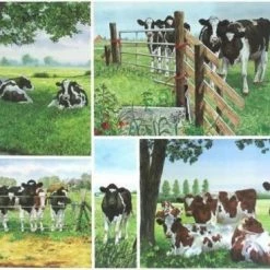 Korting ???? Wiebe Van Der Zee Placemat (Set Van 6 Stuks) ???? 9 Korting ???? Wiebe Van Der Zee Placemat (Set Van 6 Stuks) ???? -Tefal Shop 550x368 3