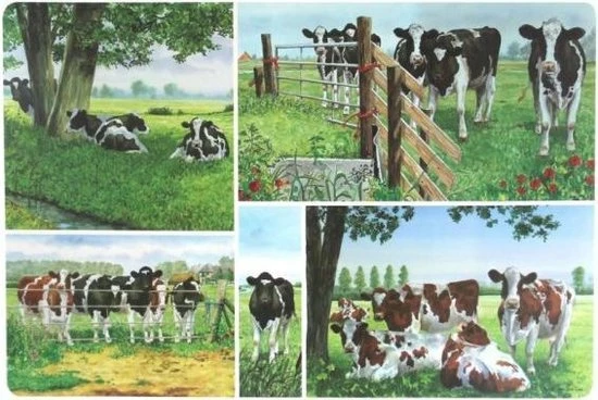 Korting ???? Wiebe Van Der Zee Placemat (Set Van 6 Stuks) ???? 5 Korting ???? Wiebe Van Der Zee Placemat (Set Van 6 Stuks) ???? - Afbeelding 5