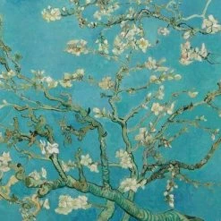 Begroting ???? Boska Van Gogh - Kaasschaaf - Amandelbloesem - 220x75 X15 Mm ???? 12 Begroting ???? Boska Van Gogh - Kaasschaaf - Amandelbloesem - 220x75 X15 Mm ???? -Tefal Shop 550x387 3