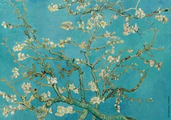 Begroting ???? Boska Van Gogh - Kaasschaaf - Amandelbloesem - 220x75 X15 Mm ???? 5 Begroting ???? Boska Van Gogh - Kaasschaaf - Amandelbloesem - 220x75 X15 Mm ???? - Afbeelding 5