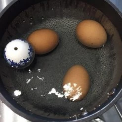 Uitgang ✔️ Brutus Kookt! PiepEi Eierwekker - Elvis ???? 12 Uitgang ✔️ Brutus Kookt! PiepEi Eierwekker - Elvis ???? -Tefal Shop 550x733